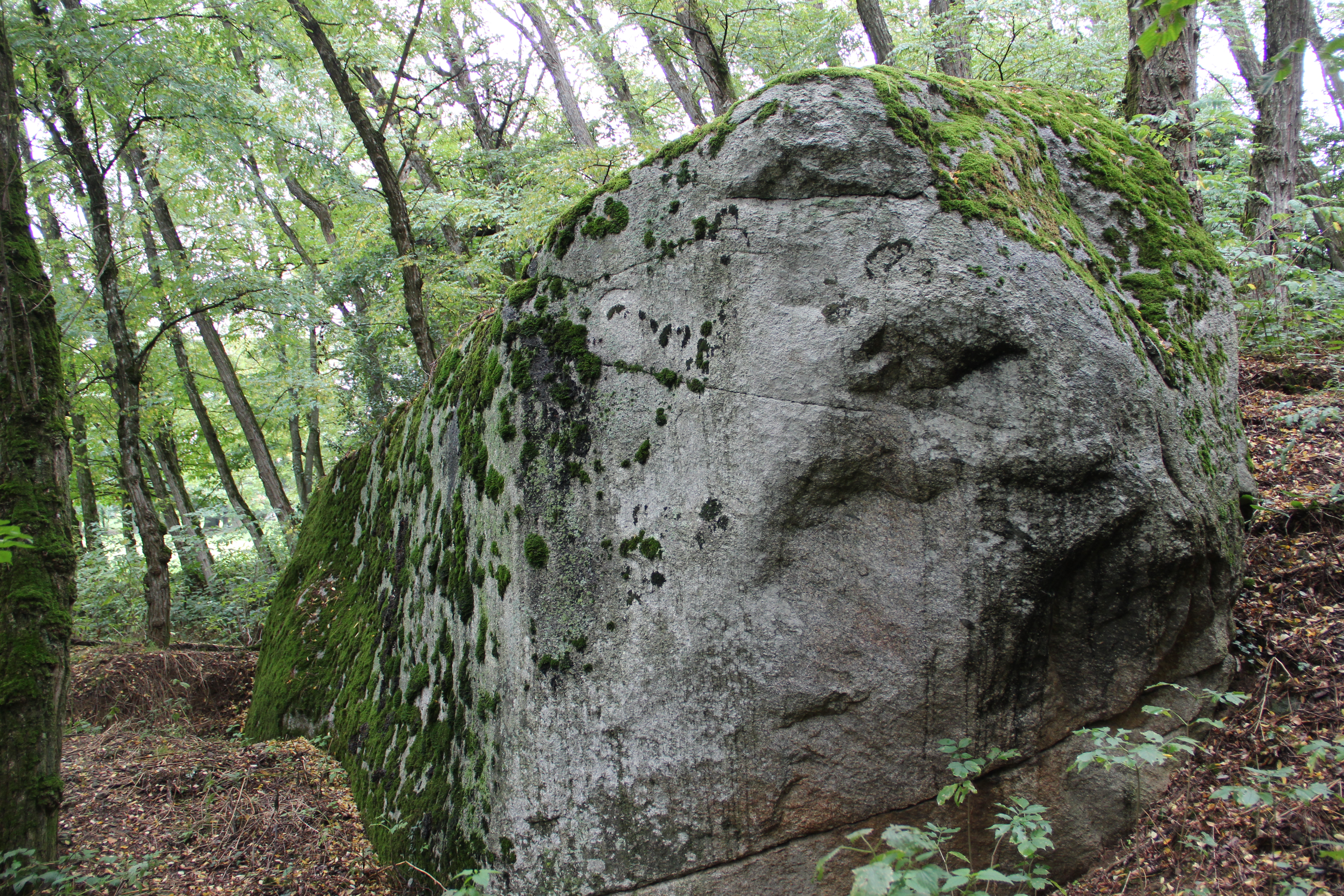 Pierre-aux-Dames — Vue rapprochée
